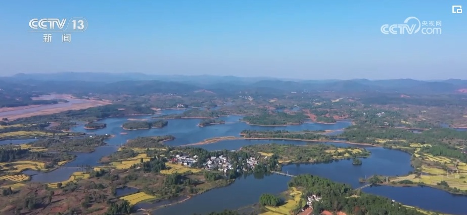 生态美让“老朋友”有了更多安乐窝 “极危”物种从“稀客”变“常客” 生态美让“老朋友”有了更多安乐窝 “极危”物种从“稀客”变“常客”