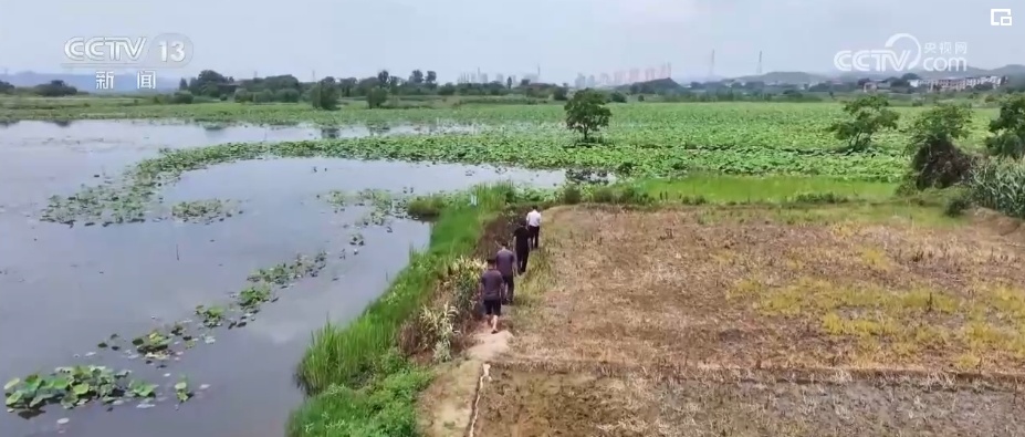 生态美让“老朋友”有了更多安乐窝 “极危”物种从“稀客”变“常客” 生态美让“老朋友”有了更多安乐窝 “极危”物种从“稀客”变“常客”