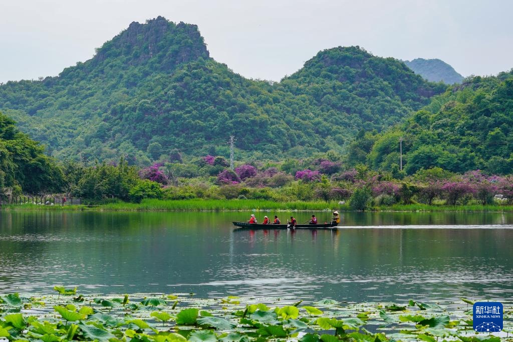美丽中国丨云南普者黑：喀斯特风光引游人