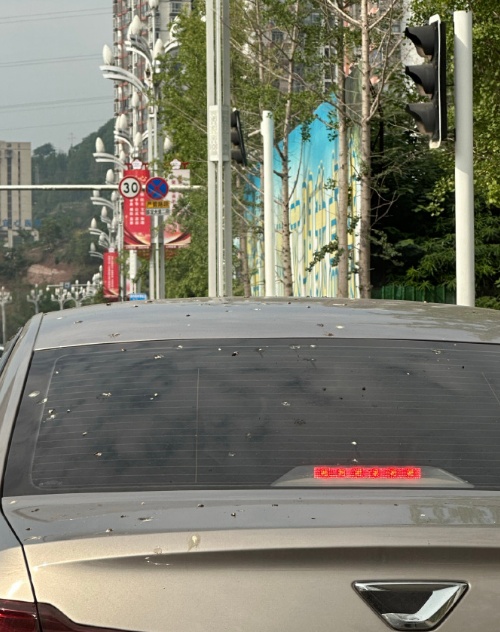 有多少杭州人遇到过这事?心情跌落谷底,网友:真·空降“惊喜”啊 有多少杭州人遇到过这事?心情跌落谷底,网友:真·空降“惊喜”啊