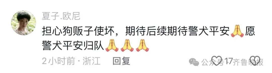 警犬被偷？派出所回应：是特警大队的！网友：你同事被偷了……