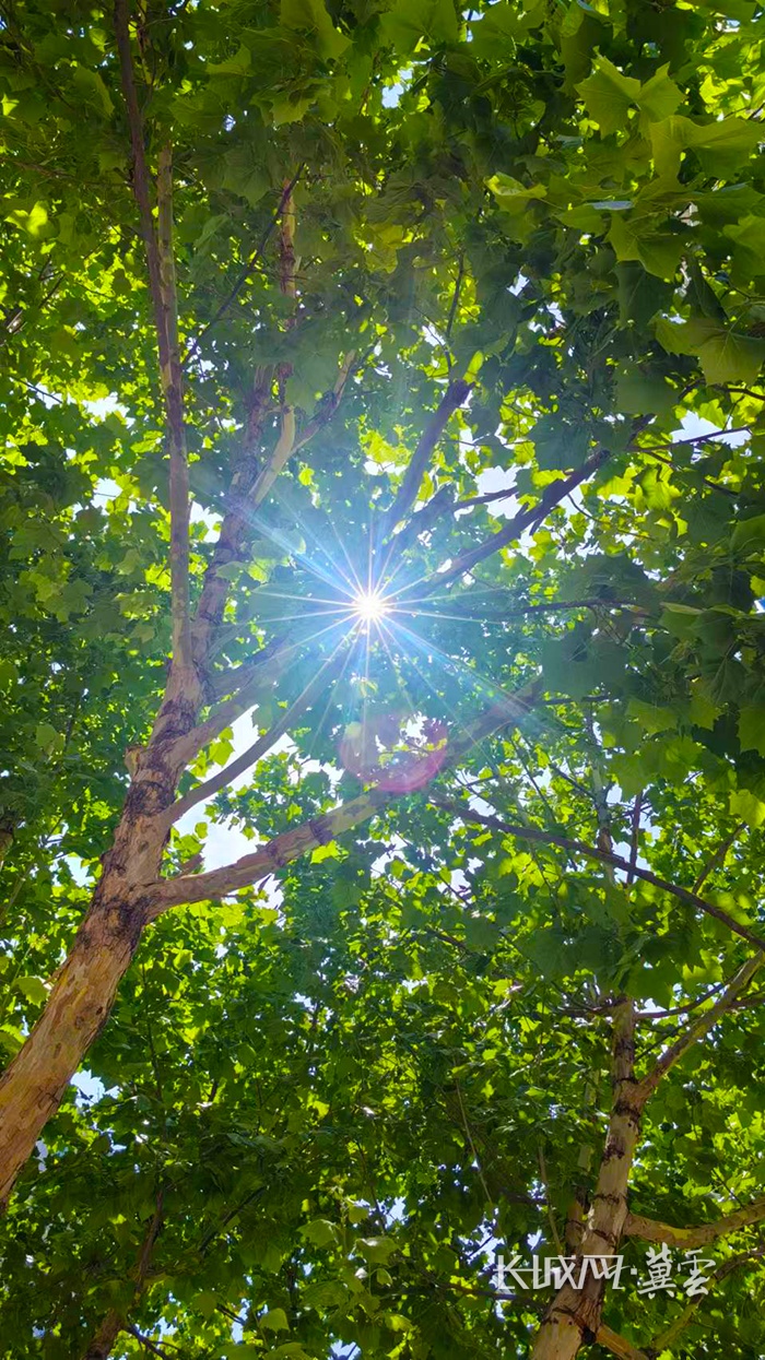 最高40℃！雷阵雨或阵雨！明天，河北这些地方迎降水→
