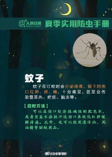 转发提醒！夏季防虫手册