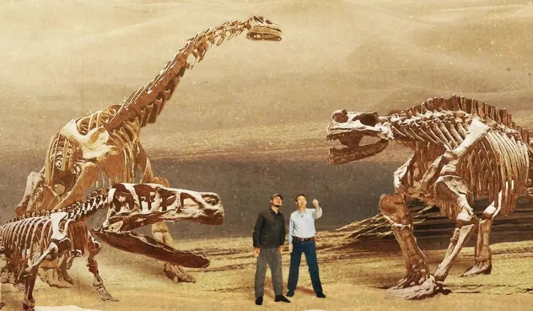 院士和无穷小亮“盖章”!大学生的“5A级景区”爆火...... 院士和无穷小亮“盖章”!大学生的“5A级景区”爆火......