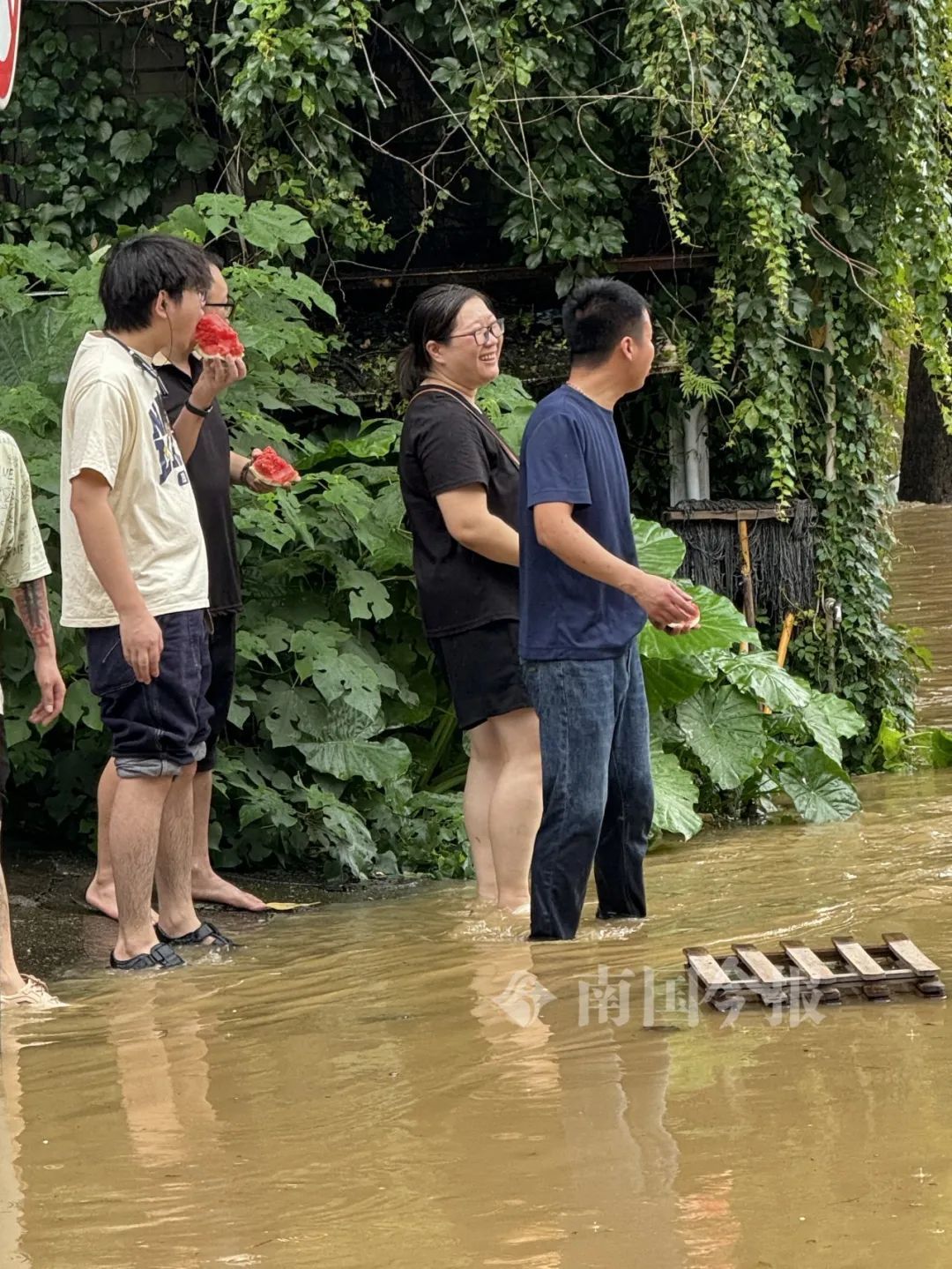 柳州今早出现82.52米洪水！河堤商户开始“搬家”，洪峰水位预计……