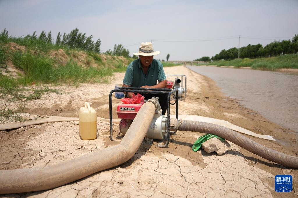 山东菏泽：加大引用黄河水量 积极抗旱保夏种
