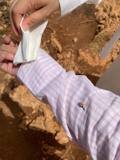 有多少杭州人遇到过这事?心情跌落谷底,网友:真·空降“惊喜”啊 有多少杭州人遇到过这事?心情跌落谷底,网友:真·空降“惊喜”啊