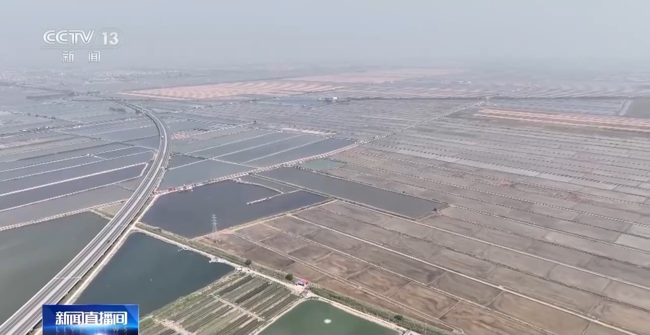 调配农机抢收 良种良法提效率！各地抢抓农时全力推进夏收夏种