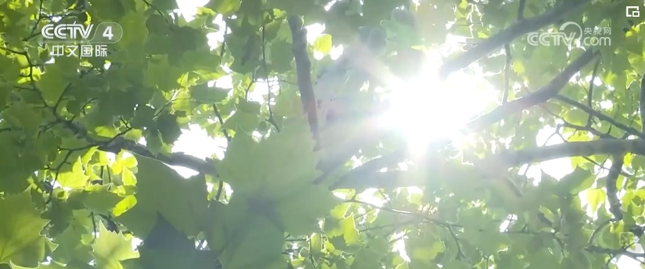 高温“控场”,热!多地细化服务及时保障高温天气下劳动者权益 高温“控场”,热!多地细化服务及时保障高温天气下劳动者权益
