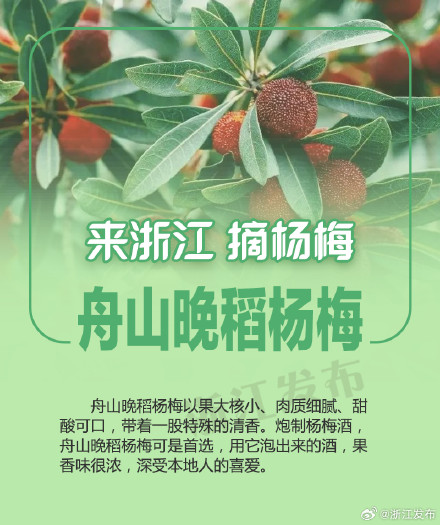 杨梅季，来浙江吃个够！