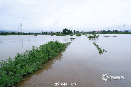 雨带北抬!未来两周长江中下游将现降雨集中期 这些地方需防旱涝急转 雨带北抬!未来两周长江中下游将现降雨集中期 这些地方需防旱涝急转