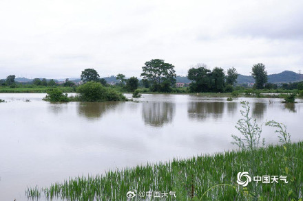 雨带北抬!未来两周长江中下游将现降雨集中期 这些地方需防旱涝急转 雨带北抬!未来两周长江中下游将现降雨集中期 这些地方需防旱涝急转