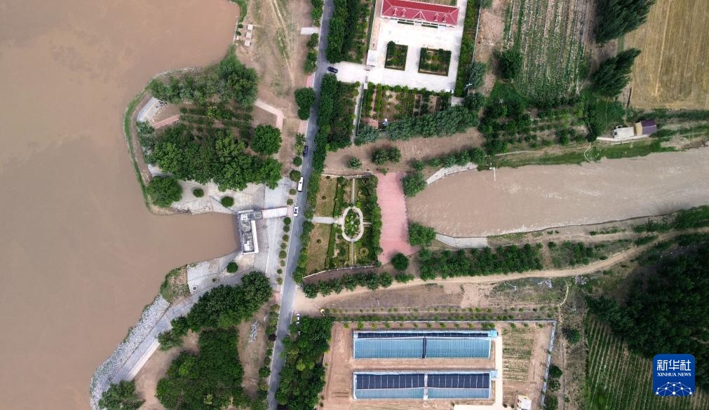 山东菏泽：加大引用黄河水量 积极抗旱保夏种