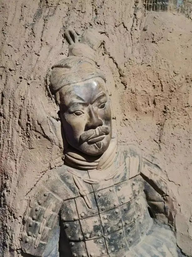 离谱！想看兵马俑，却被司机拉到……网友：七八年前就被骗过