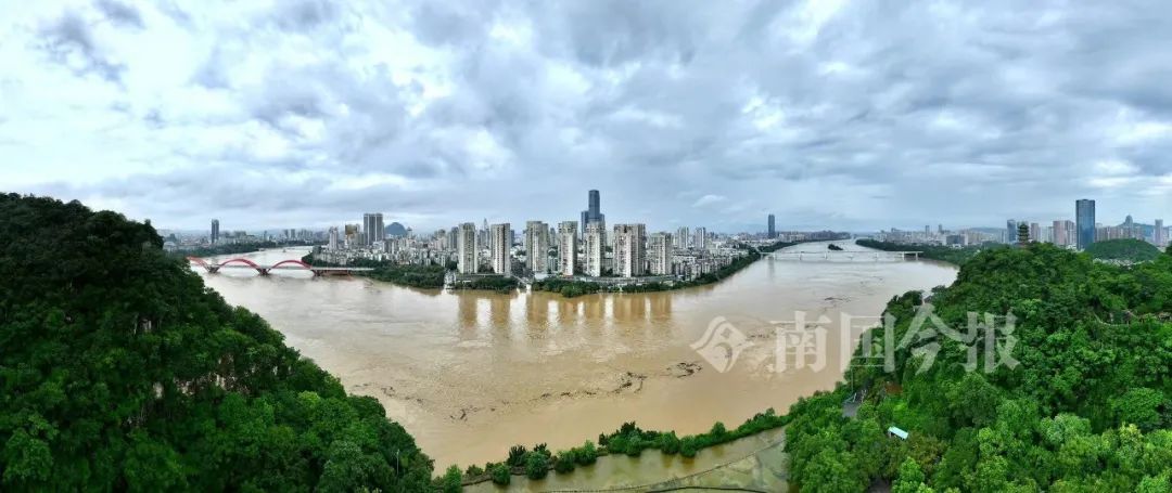 柳州今早出现82.52米洪水！河堤商户开始“搬家”，洪峰水位预计……