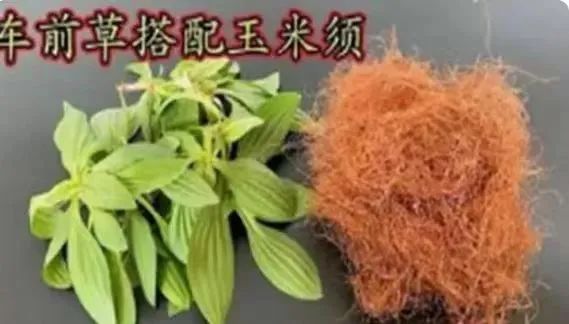 90%的人都用错了!“祛湿神器”红豆薏米水这样喝,湿气反而更重了! 90%的人都用错了!“祛湿神器”红豆薏米水这样喝,湿气反而更重了!