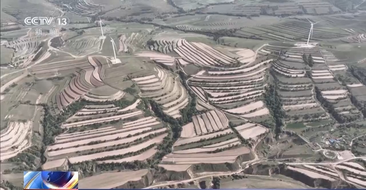 调配农机抢收 良种良法提效率！各地抢抓农时全力推进夏收夏种