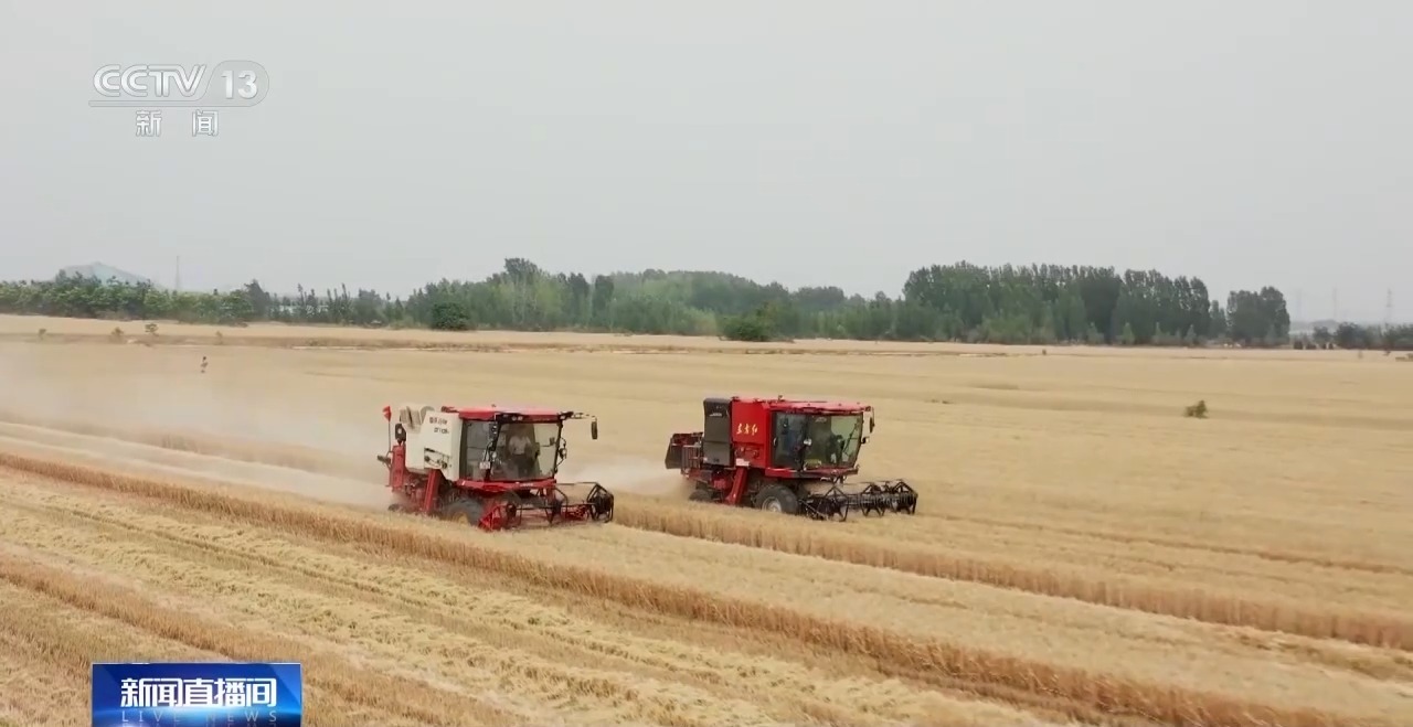 调配农机抢收 良种良法提效率！各地抢抓农时全力推进夏收夏种