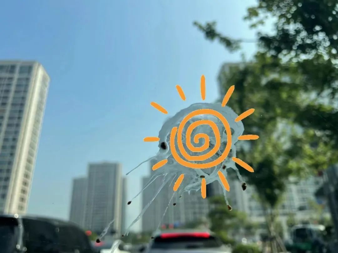 有多少杭州人遇到过这事?心情跌落谷底,网友:真·空降“惊喜”啊 有多少杭州人遇到过这事?心情跌落谷底,网友:真·空降“惊喜”啊