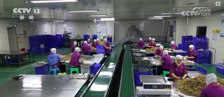 “跨境物流+跨境电商+外贸驿站” “真金白银”护航中小微电商企业“出海”