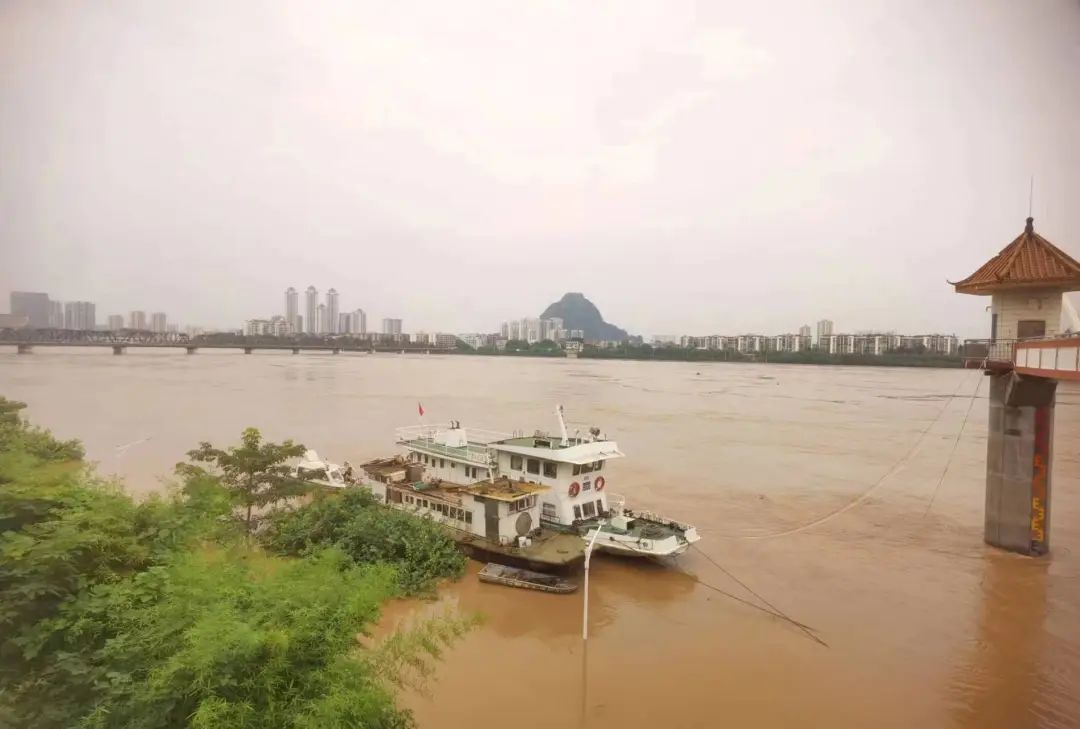 86.3米！柳江河“1号洪水”洪峰过境，为5～10年一遇洪水