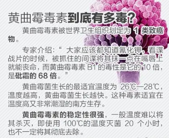 黄曲霉菌爱藏在哪些食物里? 黄曲霉菌爱藏在哪些食物里?