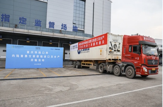 文莱冻黑虎虾、龙虾都来了!重庆铁路口岸迎首次进口冻水产 文莱冻黑虎虾、龙虾都来了!重庆铁路口岸迎首次进口冻水产