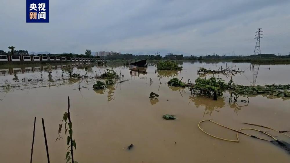 多站破历史极值！广西贺州市暴雨蓝色预警持续生效中