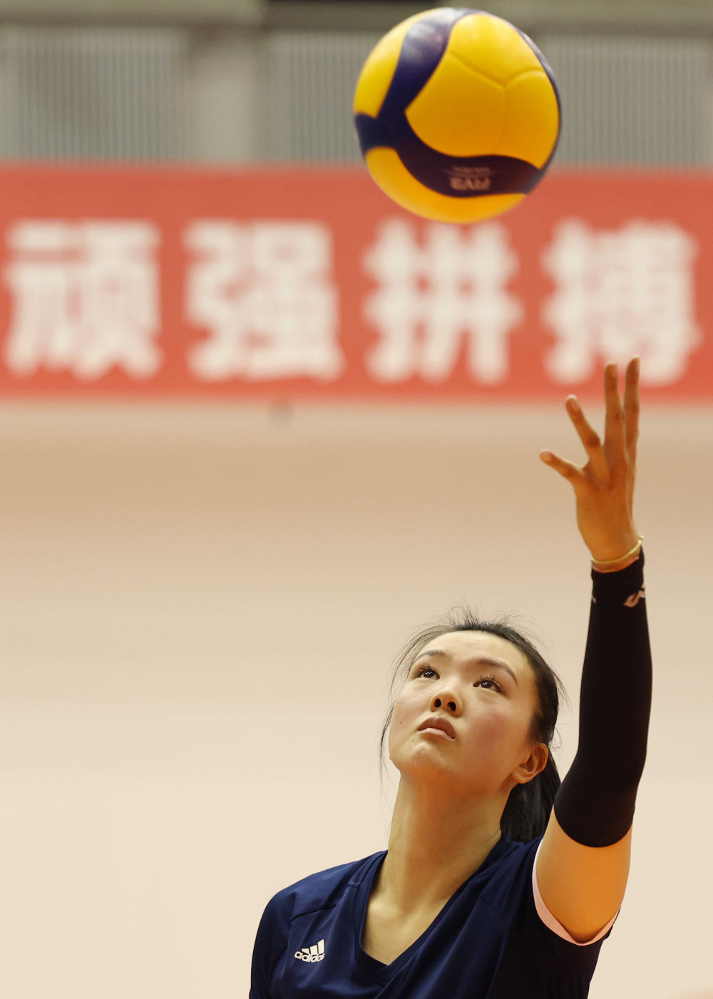 张常宁领衔中国女排世联赛总决赛阵容