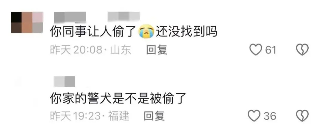 被偷的警犬找到了！网友：算不算“袭警”？