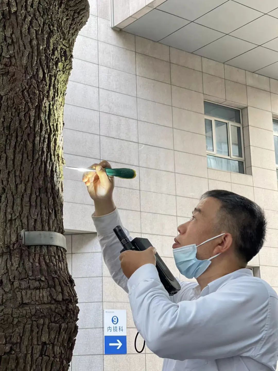 上海人深受困扰：每年都暴发，密密麻麻！这些“灭蚁人”全力出击→