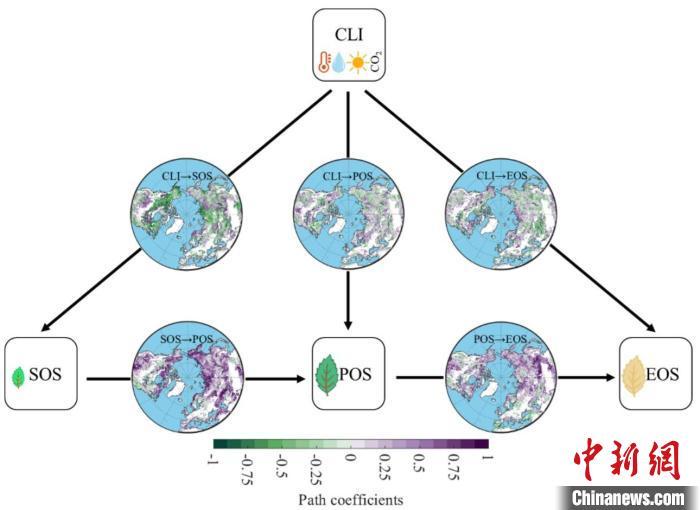植物如何抵抗和适应气候变化?科学家最新研究揭秘机制 植物如何抵抗和适应气候变化?科学家最新研究揭秘机制