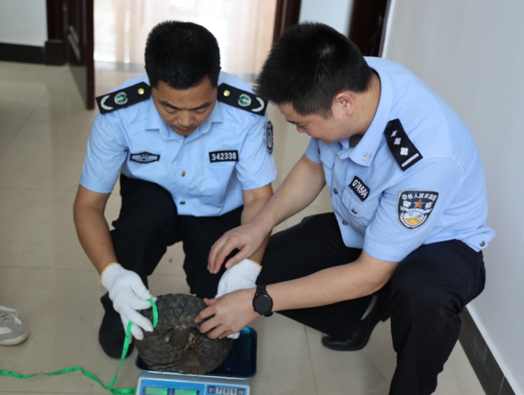 村民发现国家一级保护动物穿山甲，赣州警方介入