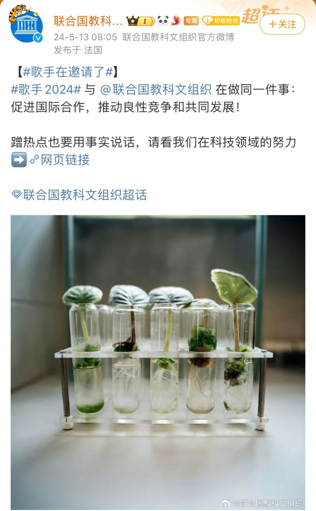 联合国教科文组织、中国驻美国大使馆点赞《歌手2024》音乐交流无国界，促进国际合作