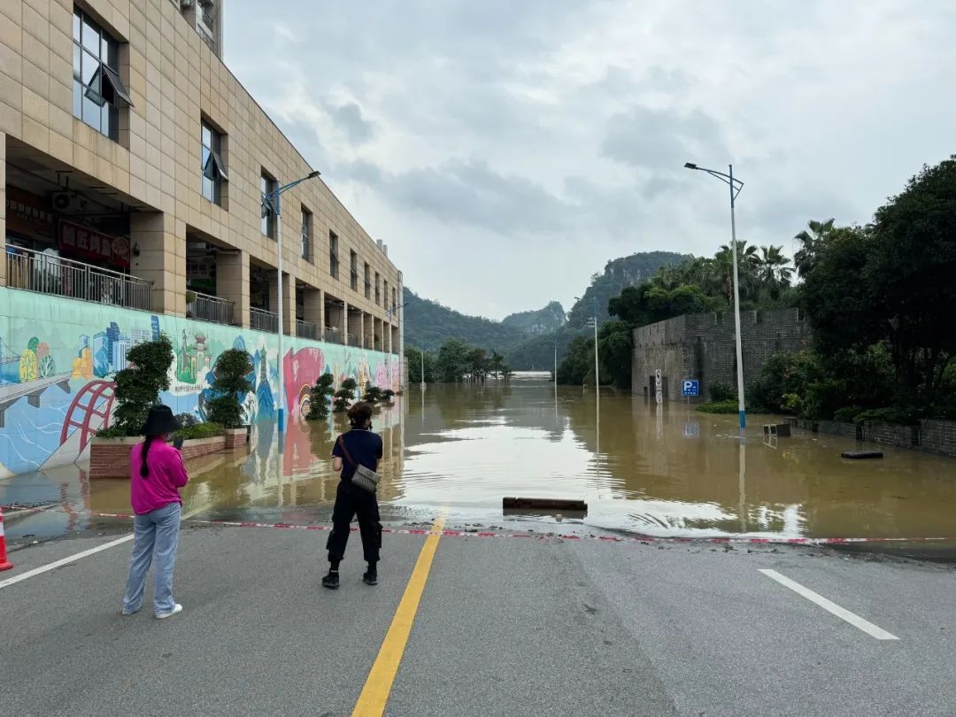86.3米！柳江河“1号洪水”洪峰过境，为5～10年一遇洪水