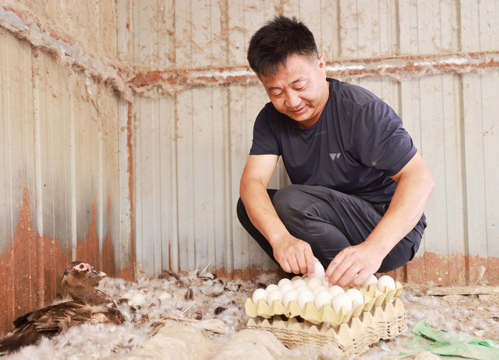 河北广宗：特色养殖助农增收