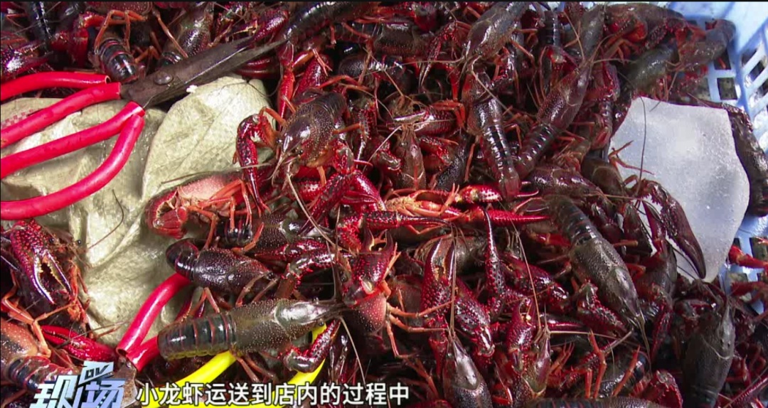 顾客团购6斤小龙虾仅得2.4斤，店家：“吃不起可以不用吃”