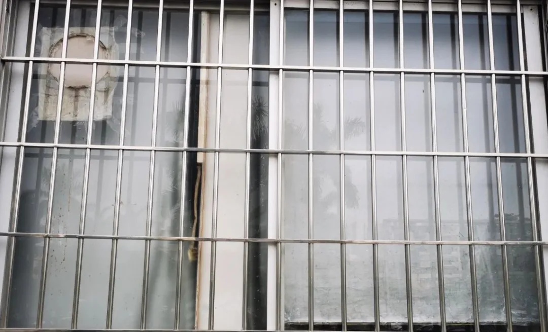 防盗窗请预留出口,不为生命“添堵”! 防盗窗请预留出口,不为生命“添堵”!