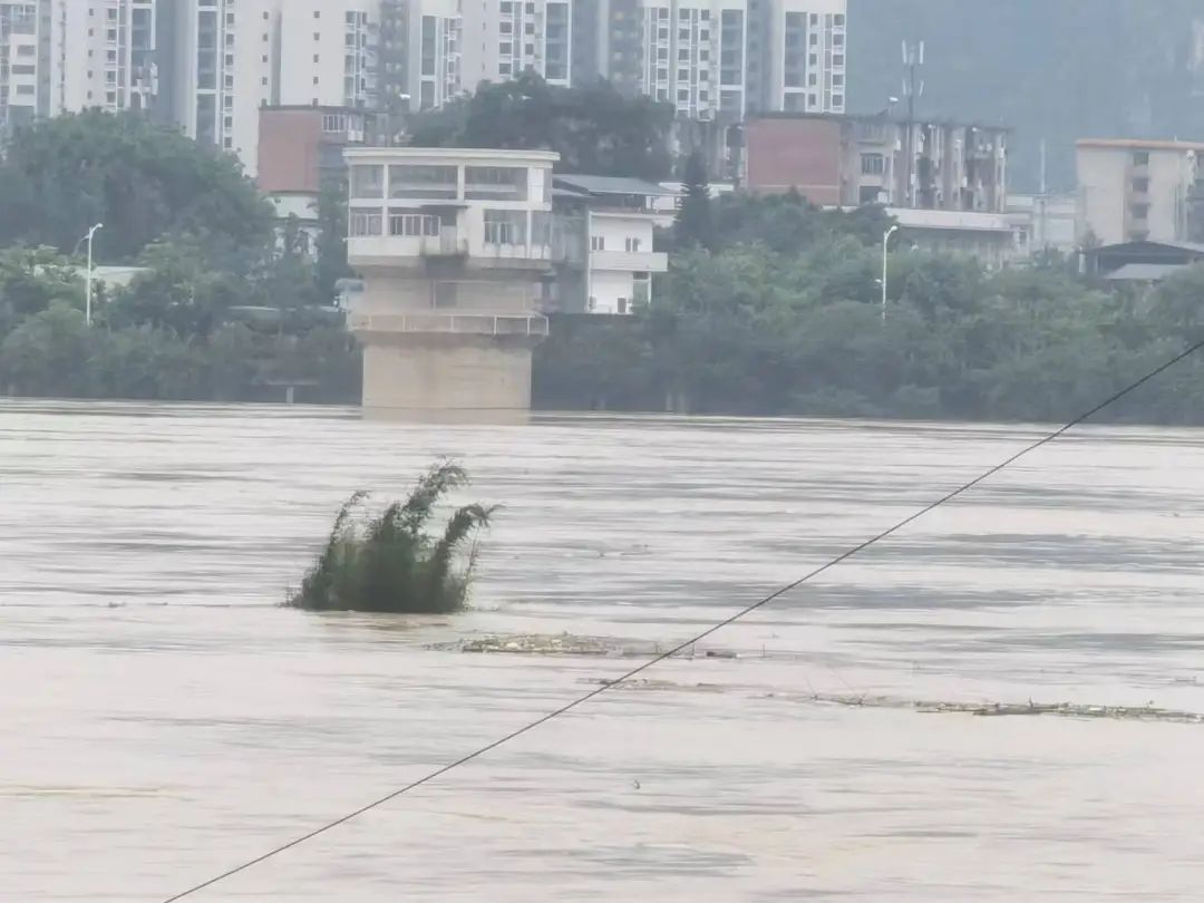 86.3米！柳江河“1号洪水”洪峰过境，为5～10年一遇洪水
