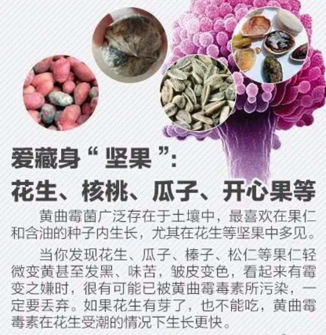 黄曲霉菌爱藏在哪些食物里? 黄曲霉菌爱藏在哪些食物里?