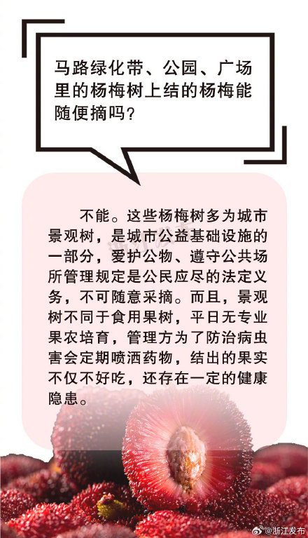 六月杨梅季,这5个法律风险你一定要知道! 六月杨梅季,这5个法律风险你一定要知道!
