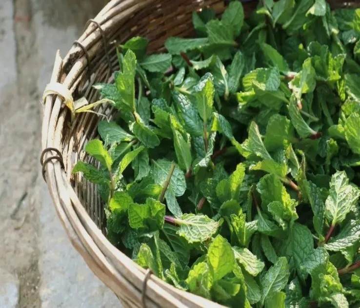 闻香好睡眠，教您自制安神助眠香囊！