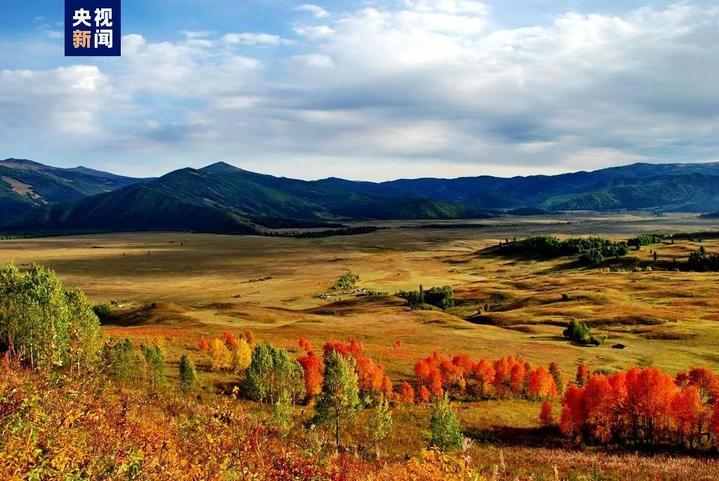 阿勒泰去了吗？“直飞”航线又上新啦