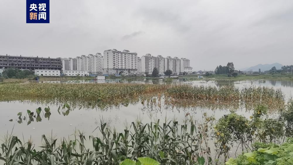 多站破历史极值！广西贺州市暴雨蓝色预警持续生效中