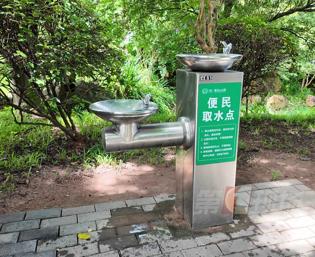 深圳公园这波操作…我服啦！你到底还有多少惊喜瞒着我！