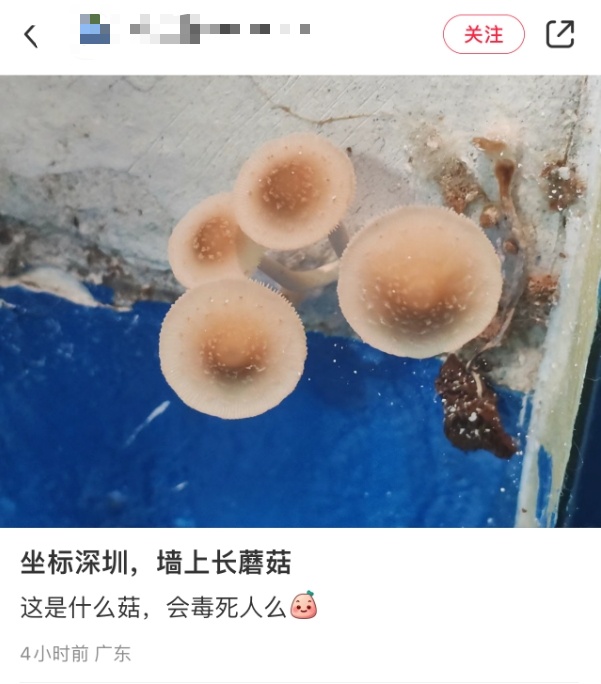 台风又要来？深圳天气有变……