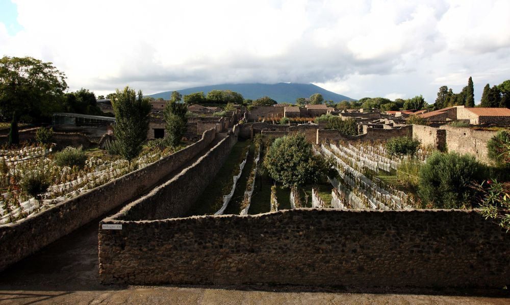 古代海滩毁于维苏威火山爆发 修复后开放 古代海滩毁于维苏威火山爆发 修复后开放