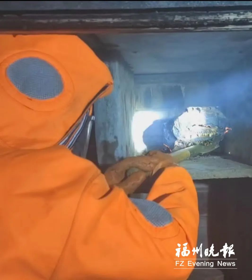 头皮发麻！福州多个小区出现！