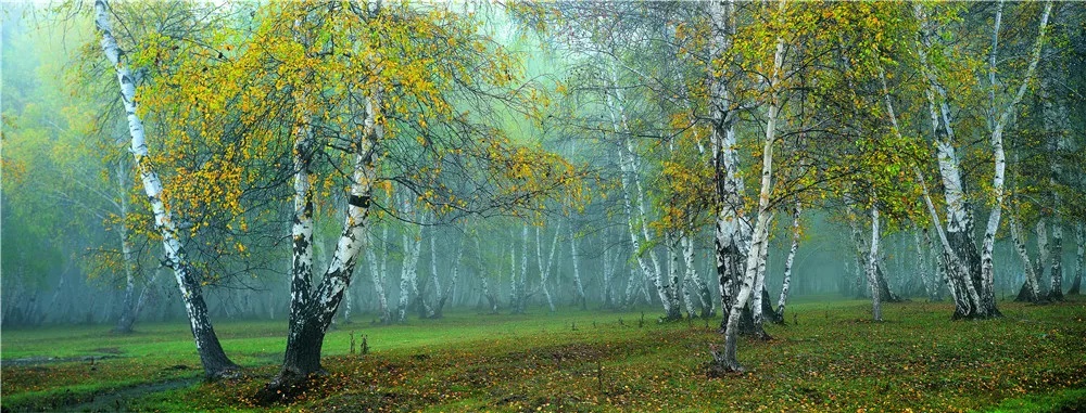 7月1日起，银川新增一条直飞航线！