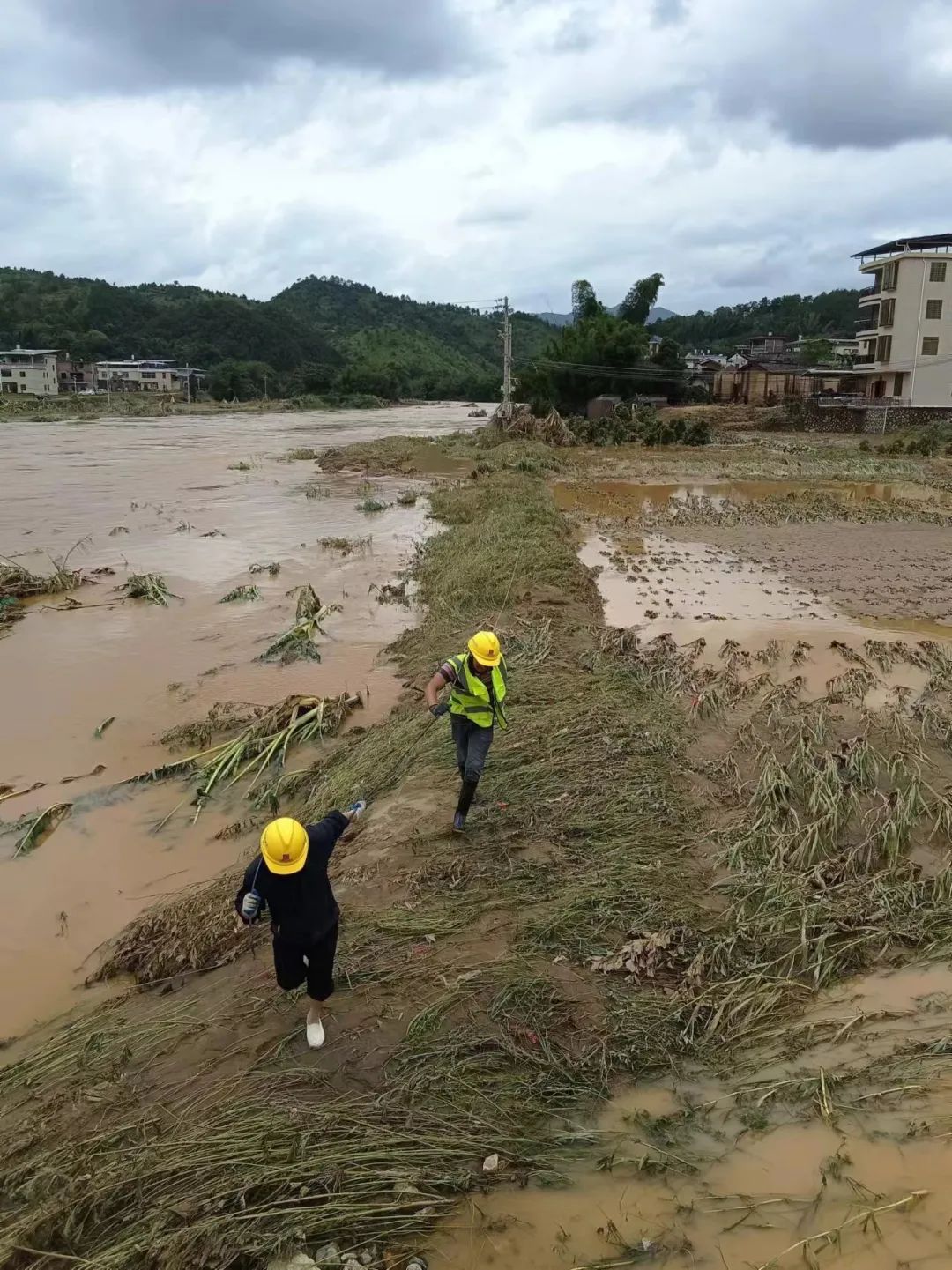 “别怕，我们来了！”汛情面前，这些年轻人上了